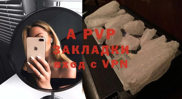 PSILOCYBIN Абаза