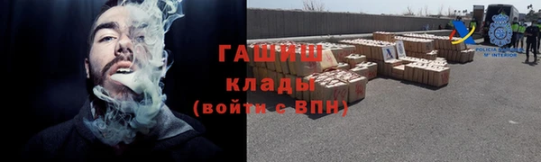 шишки Покачи