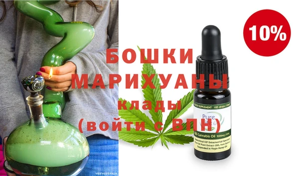 PSILOCYBIN Абаза
