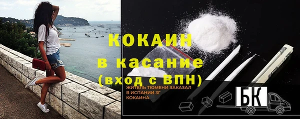 шишки Покачи