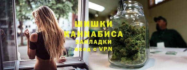 шишки Покачи