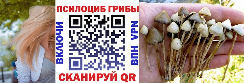 Псилоцибиновые грибы Psilocybine cubensis  купить наркотик  Тбилисская 